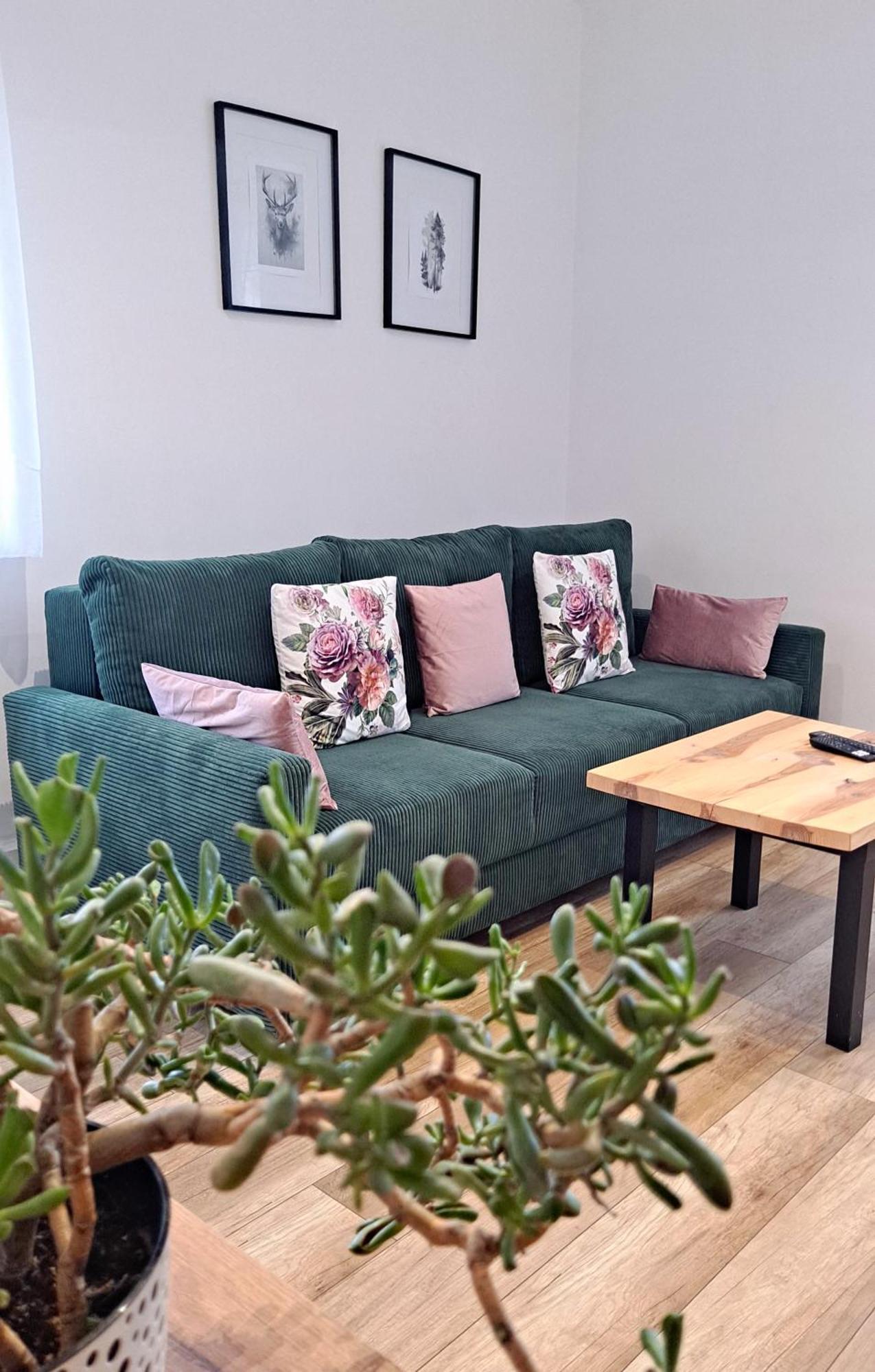 Apartament Dzika Roza Kowary Buitenkant foto